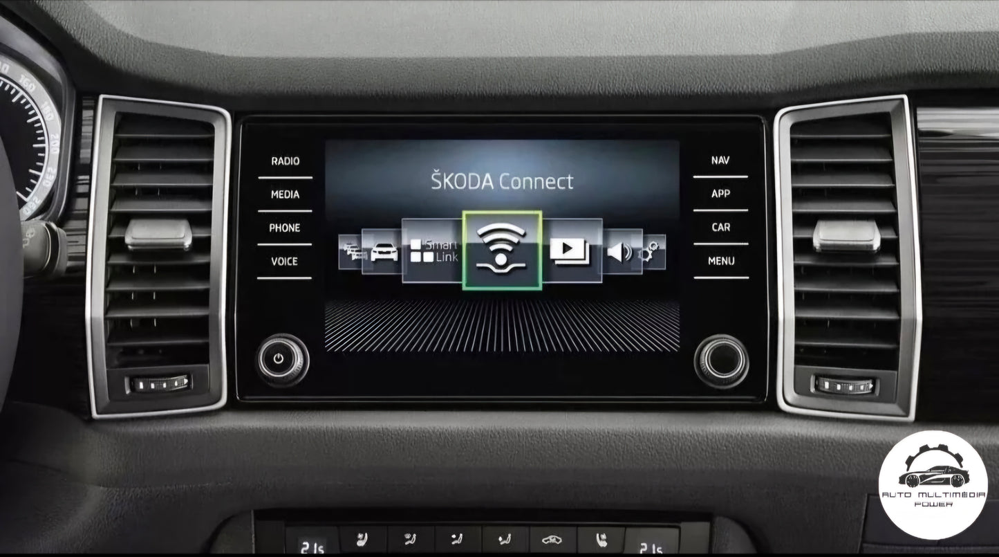 SKODA - Sistema Amundsen 2 GEN 2 - Cartão SD AS Atualização Mapas GPS Nav v20 2025